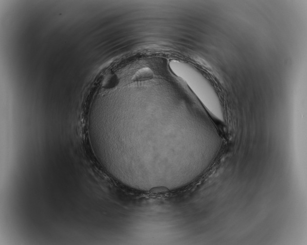 X0000091640822200709201106