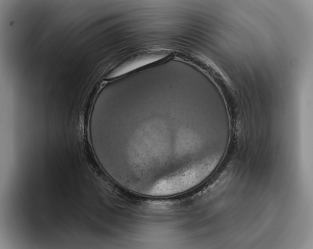 X0000091640825200709201106