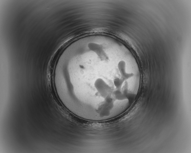 X0000091640827200709201106