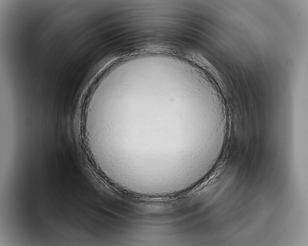 X0000091640828200709201106