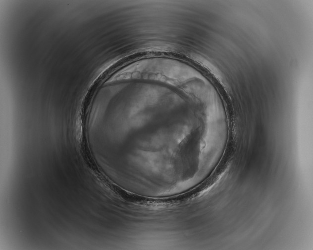 X0000091640829200709201106