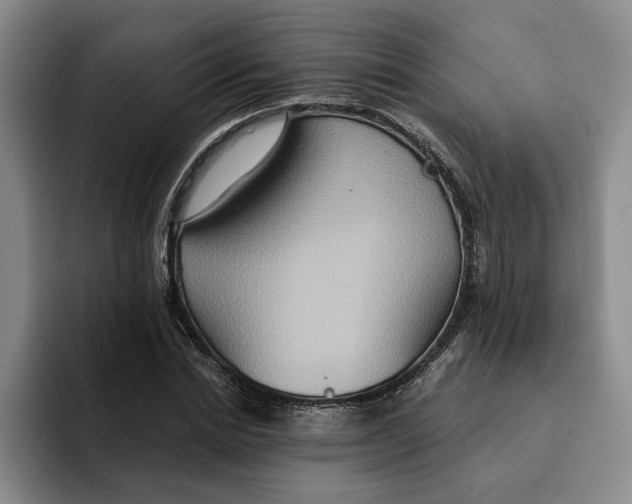 X0000091640830200709201106