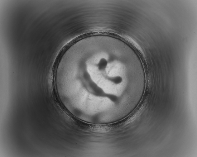 X0000091640831200709201106