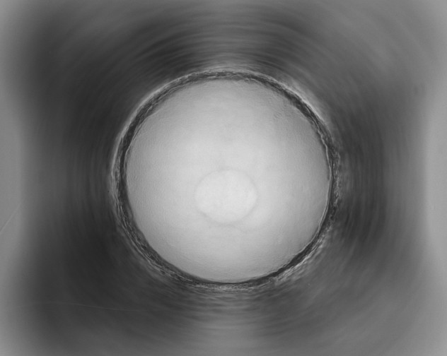 X0000091640832200709201106