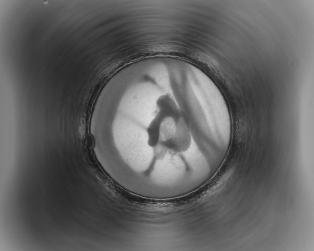 X0000091640833200709201106