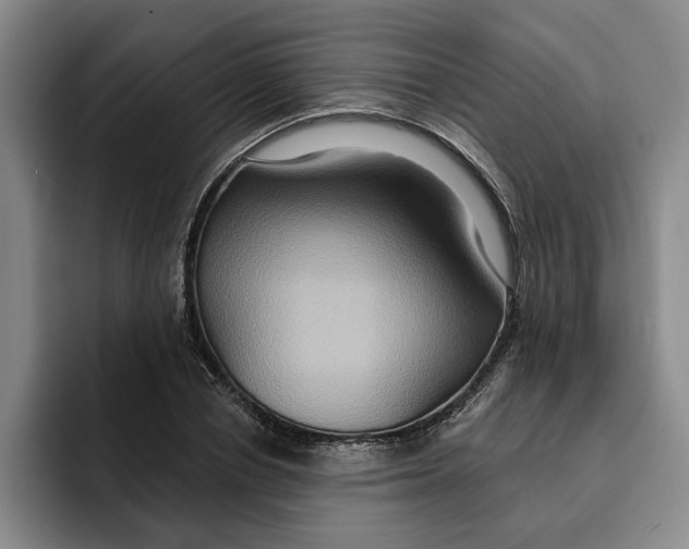 X0000091640834200709201106