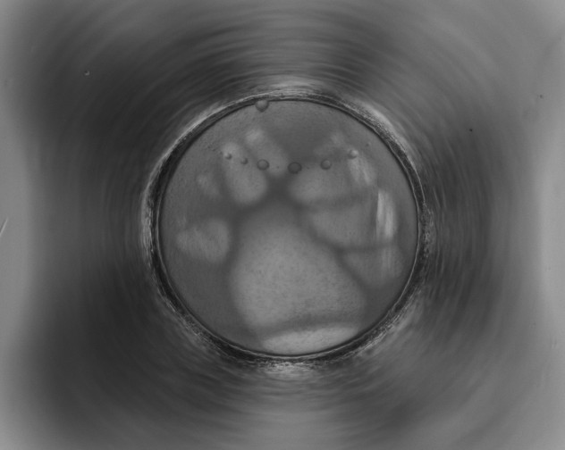 X0000091640835200709201106