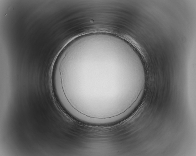 X0000091640836200709201106