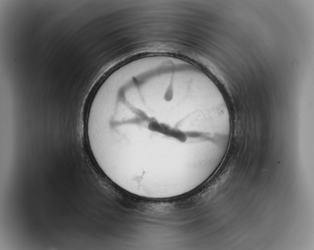 X0000091640837200709201106