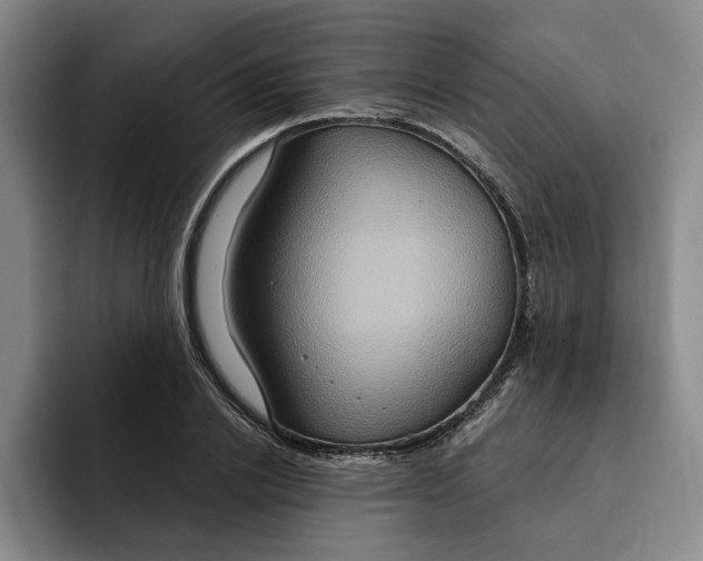X0000091640838200709201106