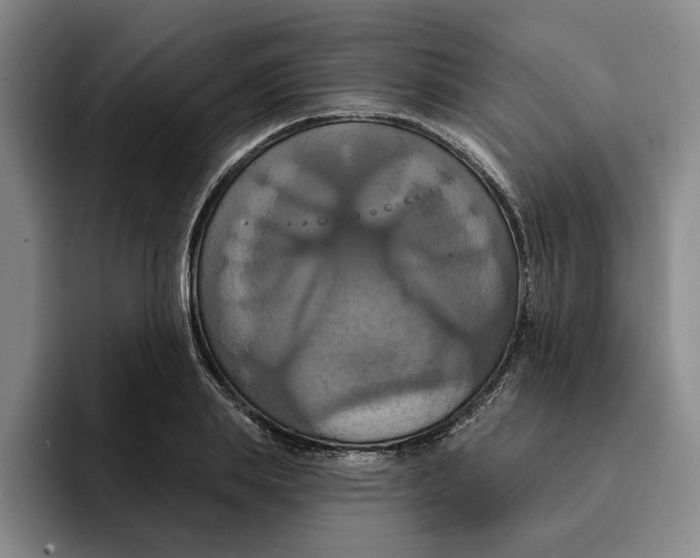 X0000091640839200709201106