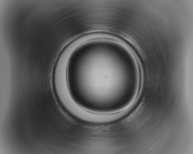 X0000091640842200709201106