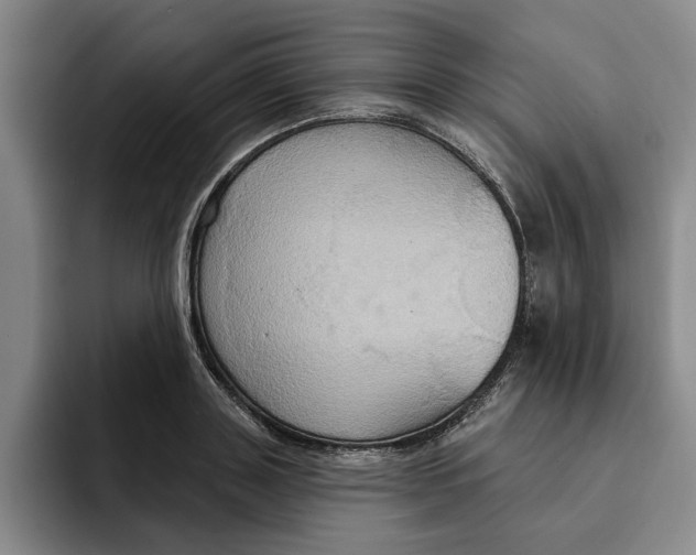 X0000091640843200709201106