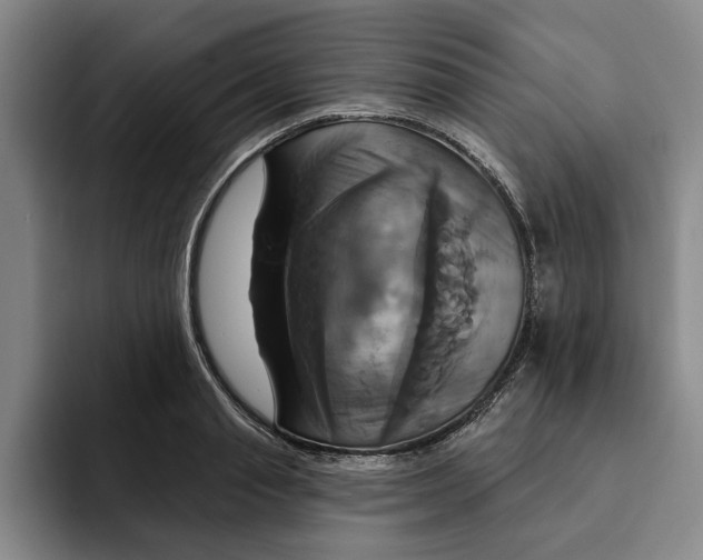 X0000091640845200709201106