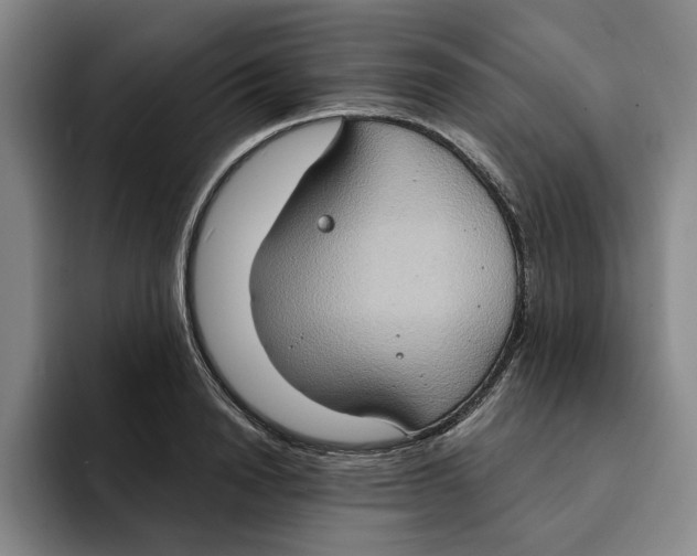 X0000091640846200709201106