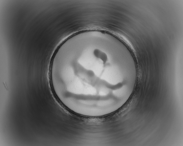 X0000091640847200709201107