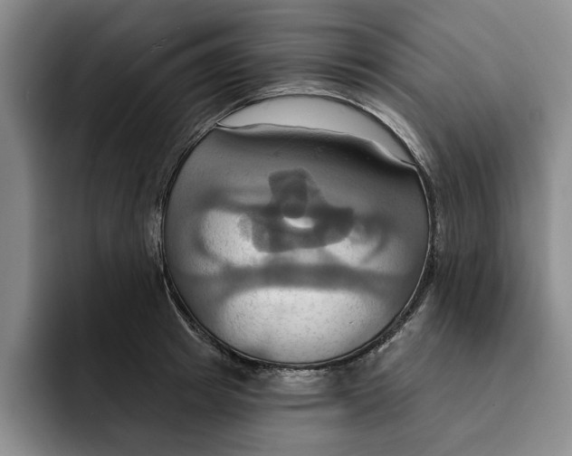 X0000091640849200709201107