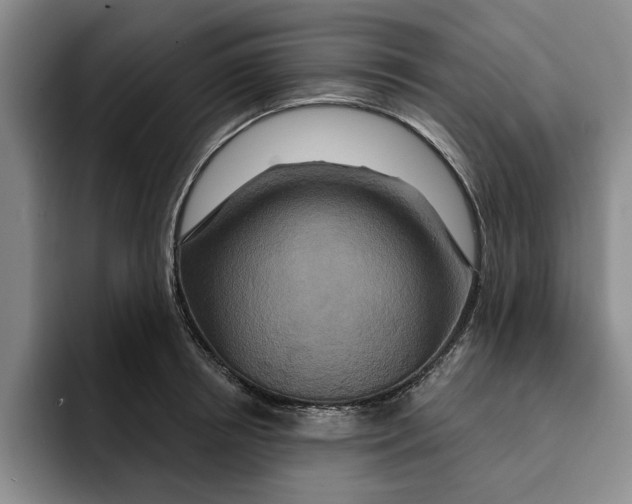 X0000091640850200709201107