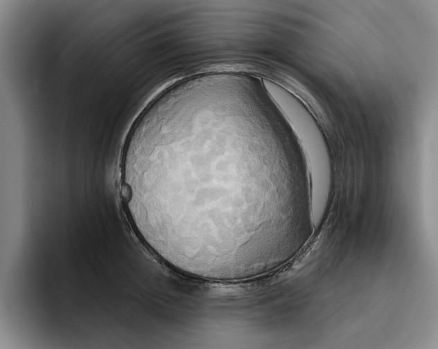 X0000091640852200709201107