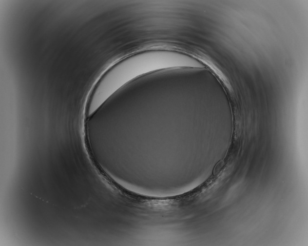 X0000091640853200709201107