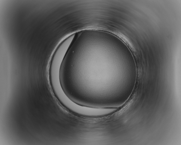X0000091640854200709201107