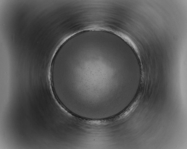 X0000091640855200709201107
