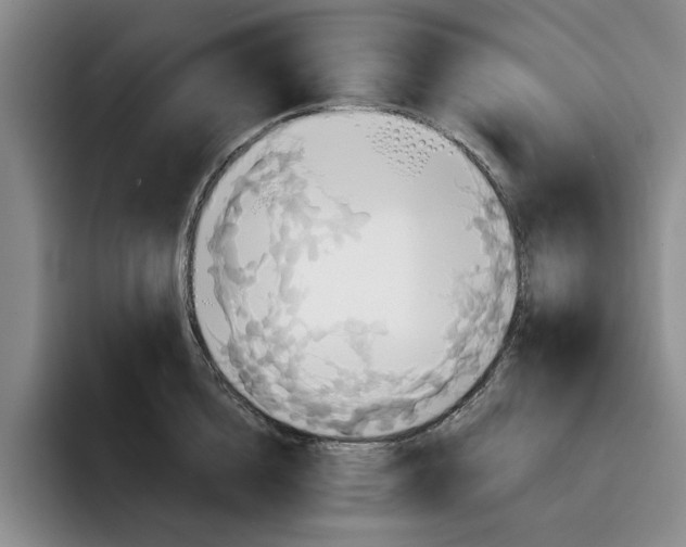 X0000091640856200709201107