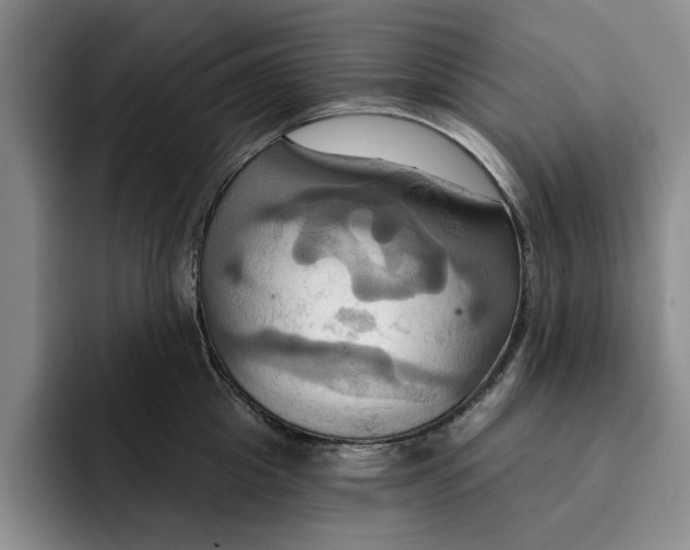 X0000091640857200709201107