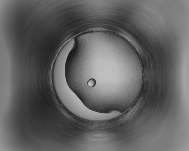 X0000091640858200709201107