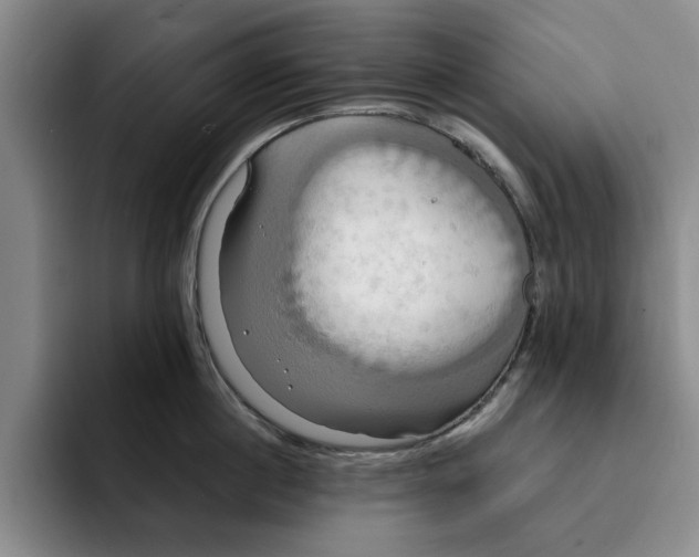 X0000091640860200709201107