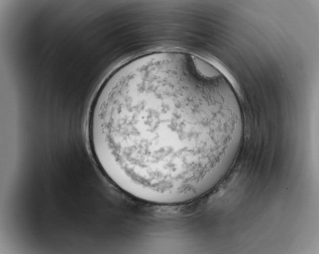 X0000091640861200709201107