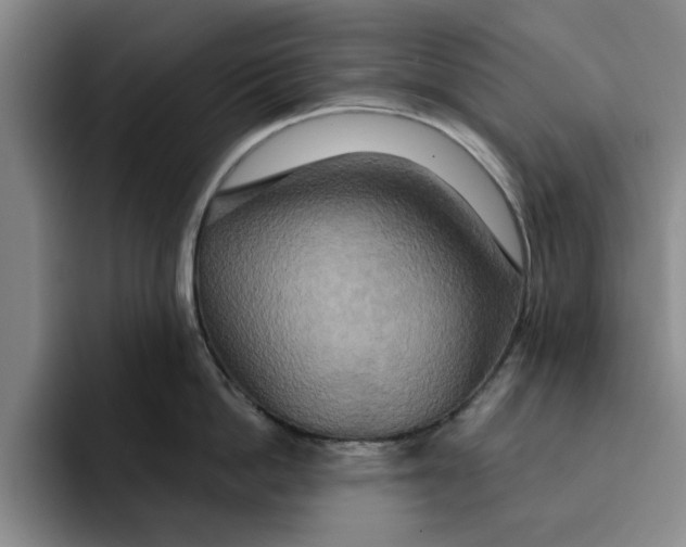 X0000091640862200709201107