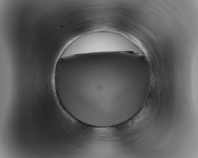X0000091640863200709201107