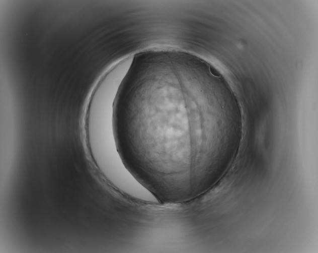 X0000091640864200709201107