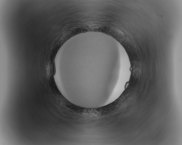 X0000091640866200709201106