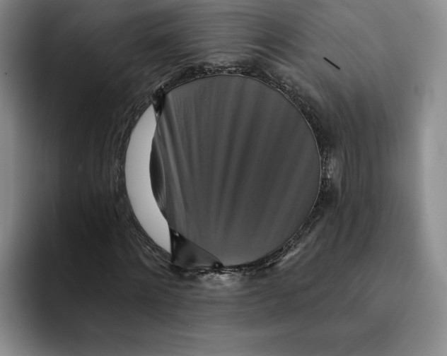 X0000091640868200709201106
