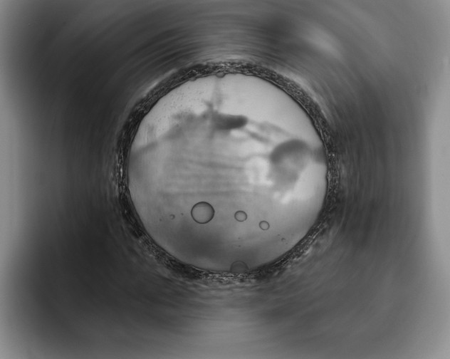 X0000091640871200709201106