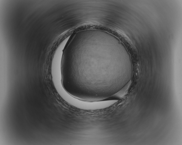 X0000091640872200709201106