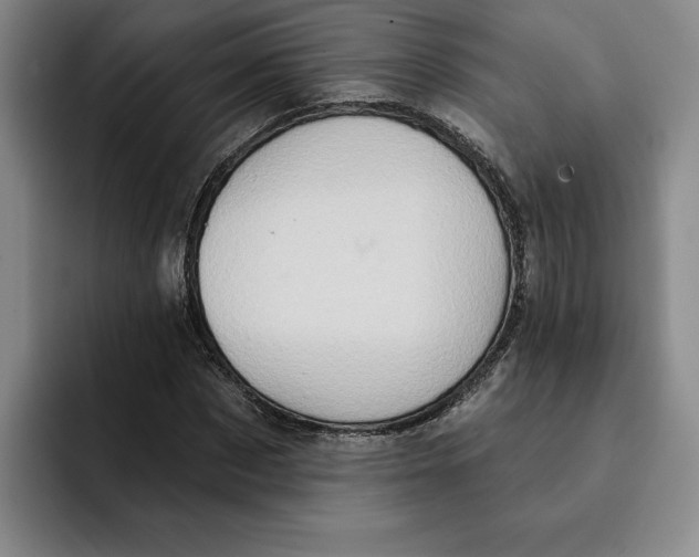 X0000091640873200709201106