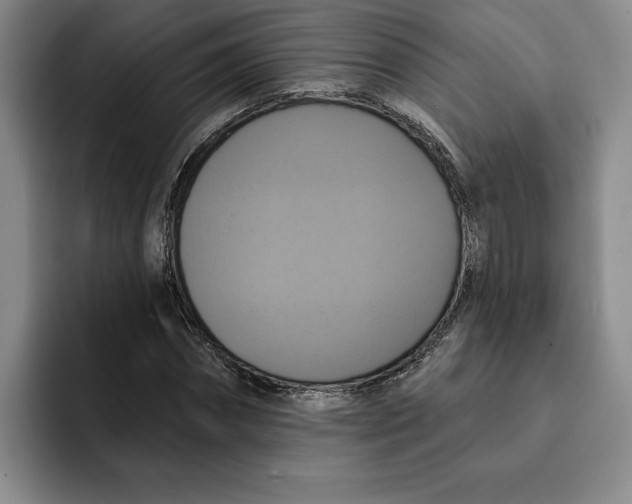 X0000091640874200709201106