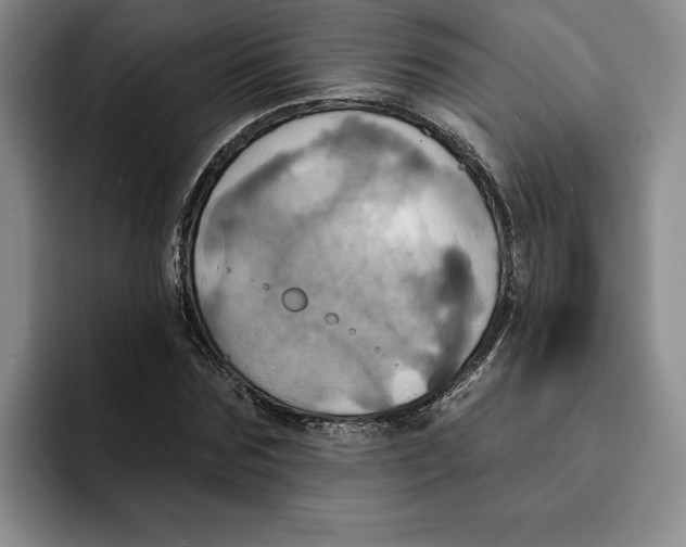 X0000091640875200709201106
