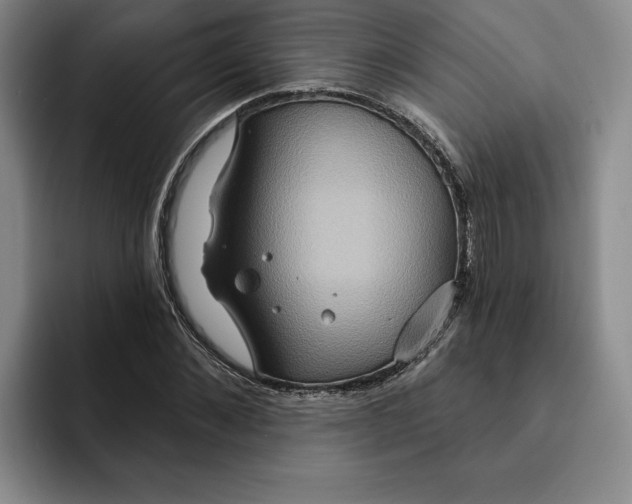 X0000091640876200709201106