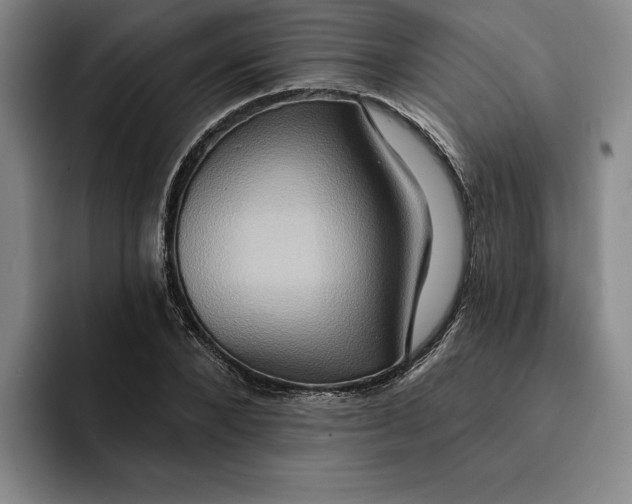 X0000091640880200709201106