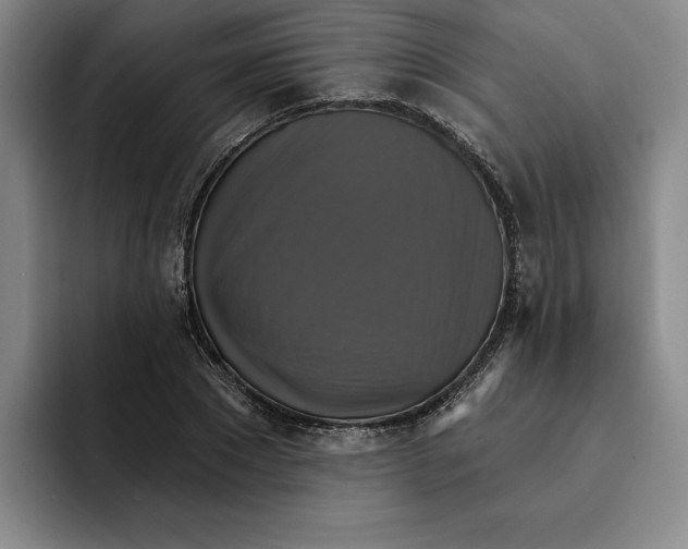 X0000091640881200709201106