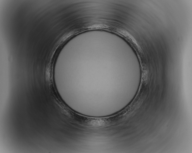 X0000091640882200709201106
