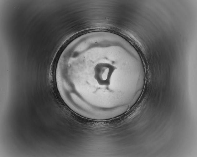 X0000091640883200709201106