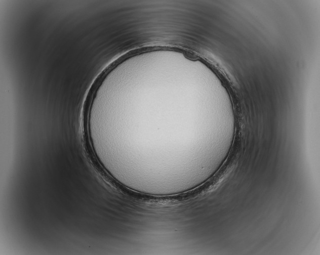 X0000091640884200709201106