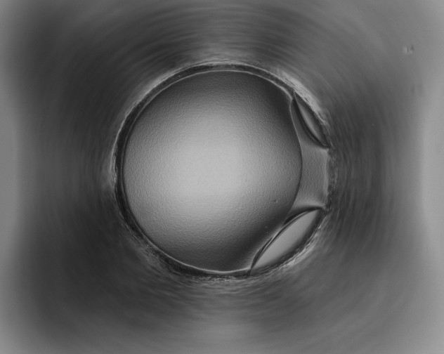 X0000091640885200709201106