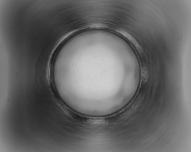 X0000091640886200709201106