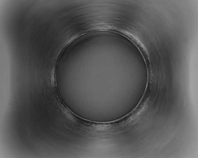 X0000091640889200709201106